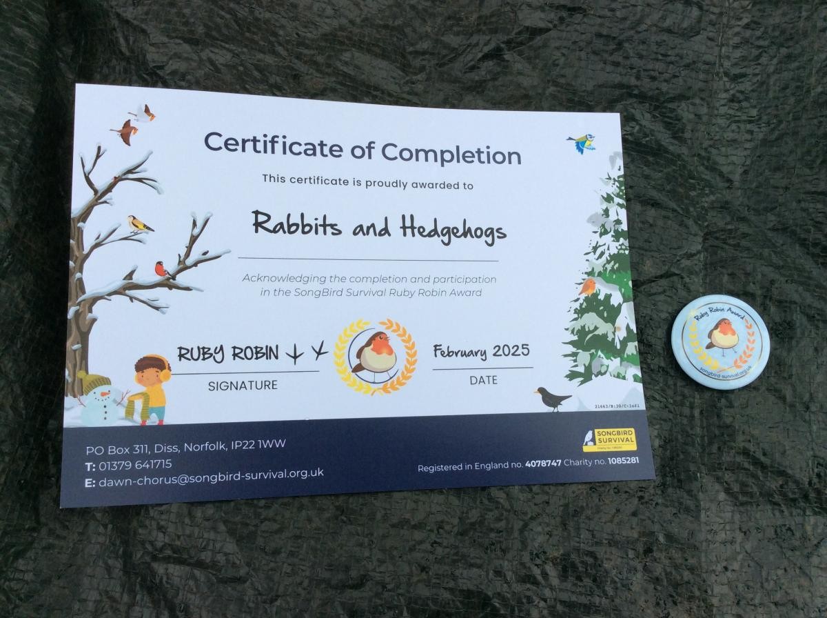 Week 8. Year 3 and 4 (Rabbits and Hedgehogs) received their certificate and badges for completing the Ruby Robin challenge.