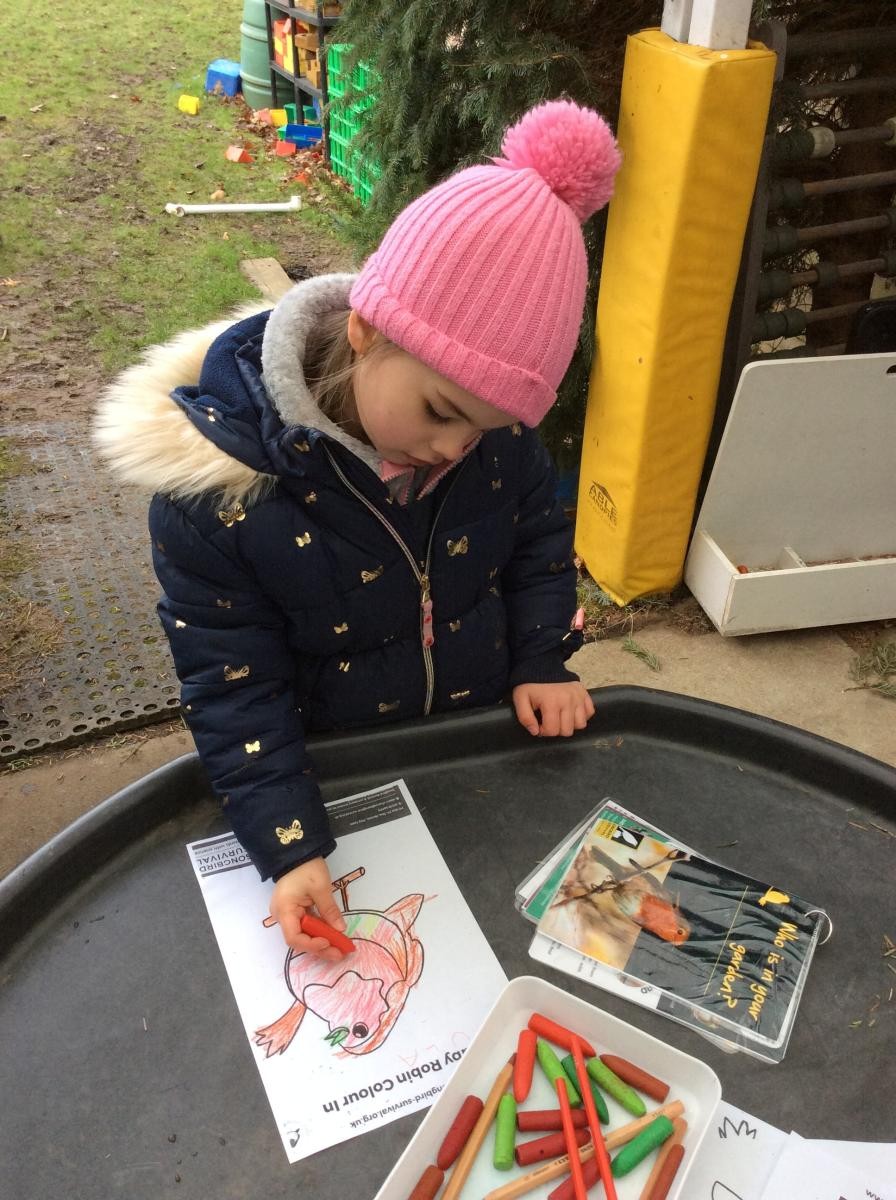 Forest School Fun.   