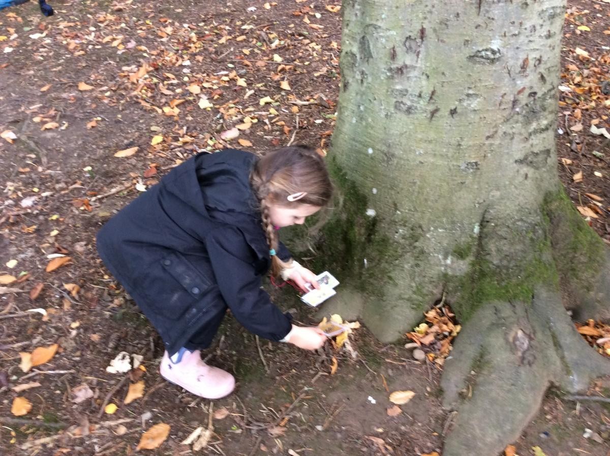 October 23rd. Reception Class played a wildlife matching card game this afternoon.