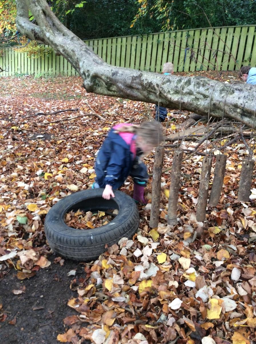 We moved a tyre so we could climb onto this branch.