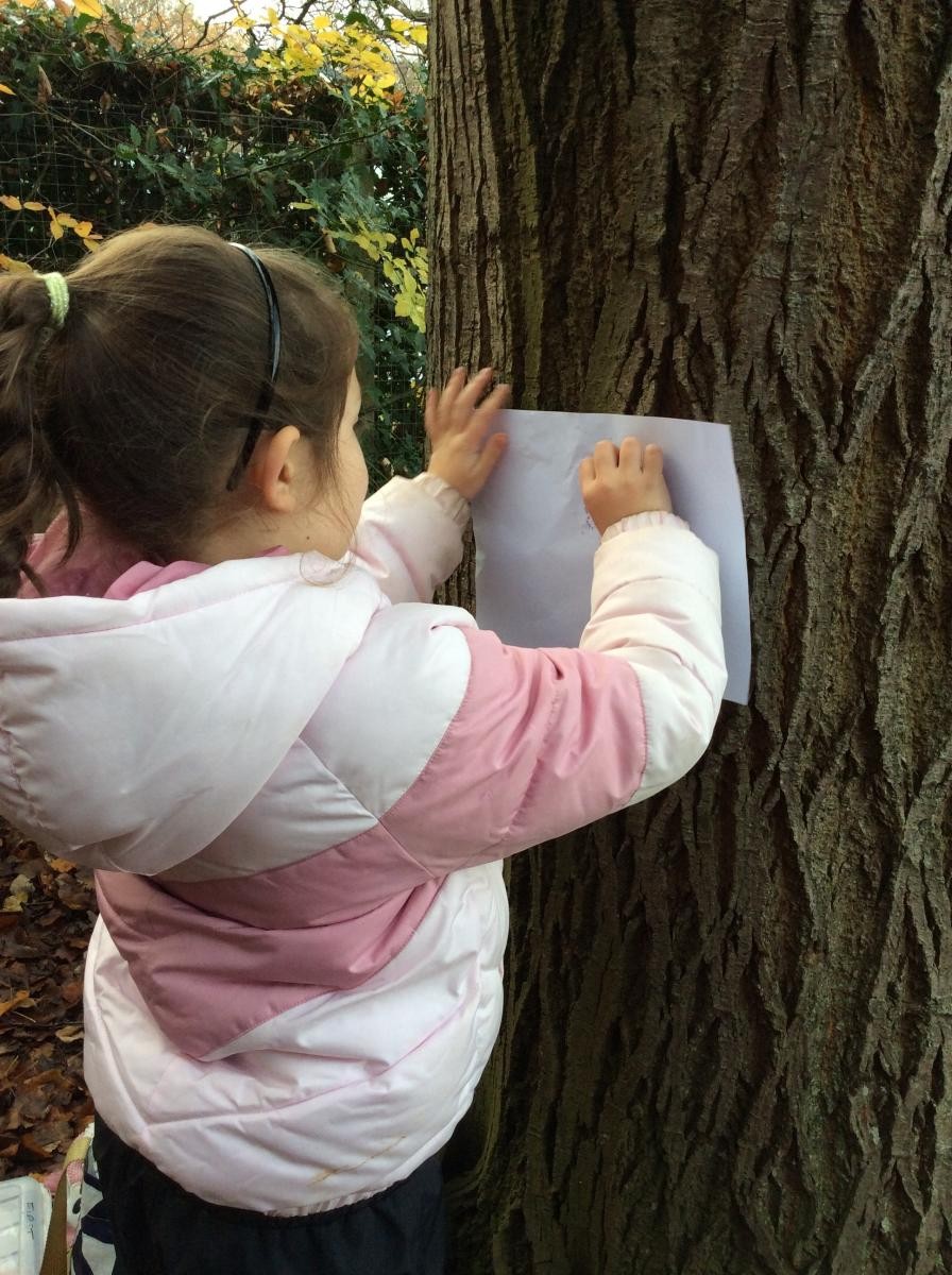 ...we made bark rubbings with wax crayons on paper.