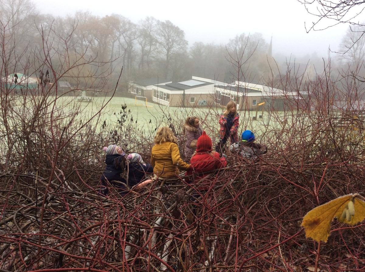 This was Class 1's last Forest School session until the summer. We think the woods will look and feel very different by then!
