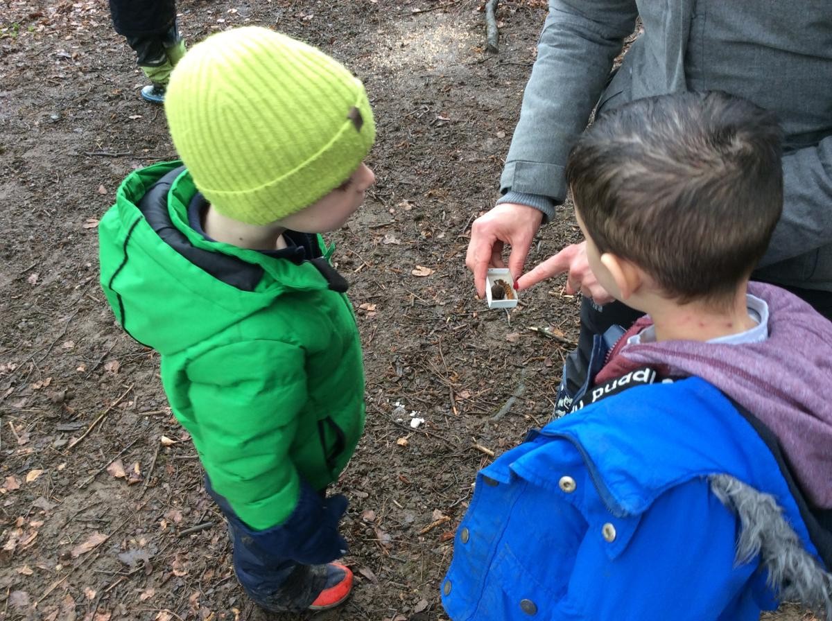 Working in pairs, they went to find out how many different things they could fit into a matchbox.