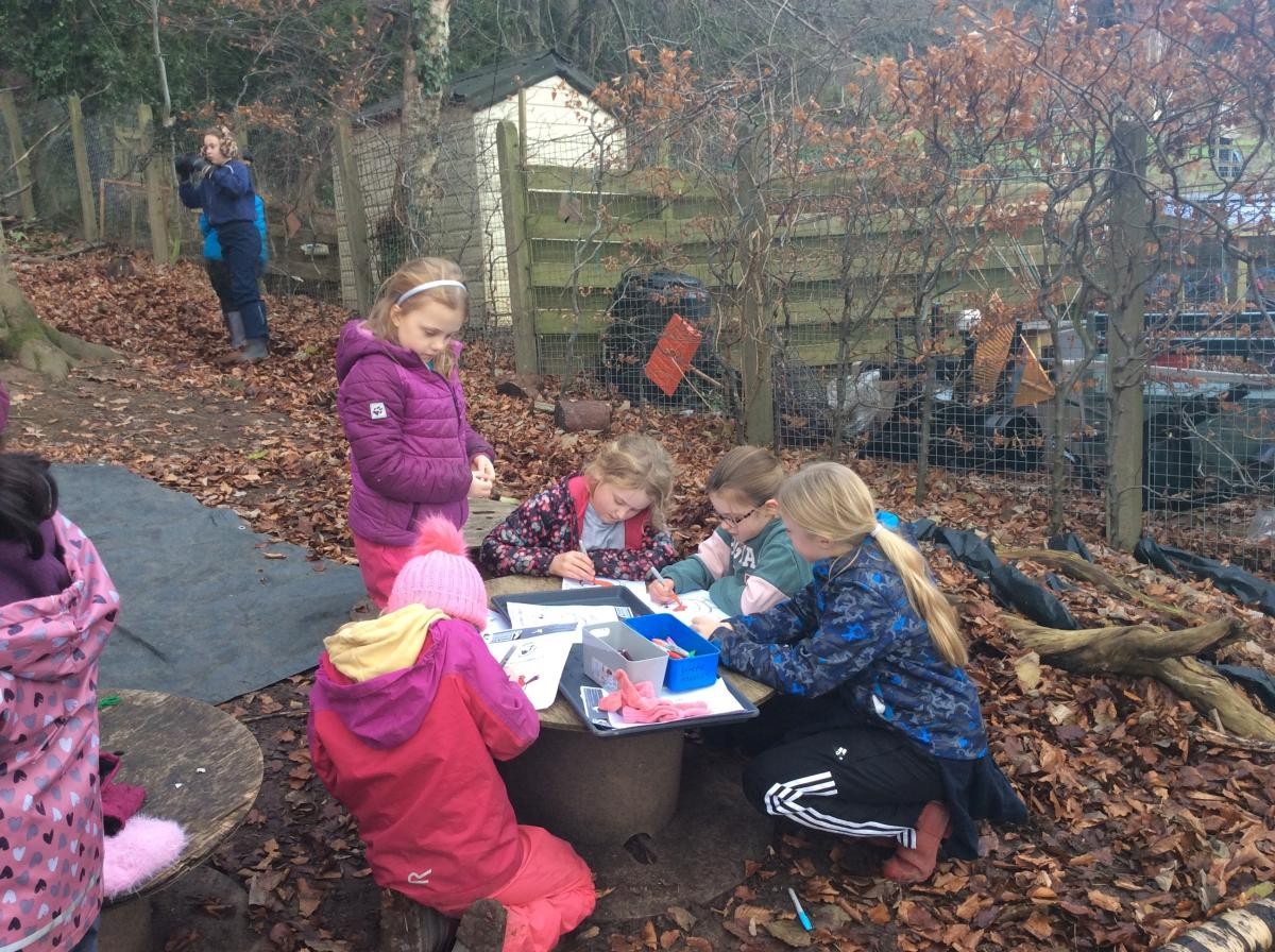 We coloured in some pictures and Christmas cards for our Ruby Robin Challenge.