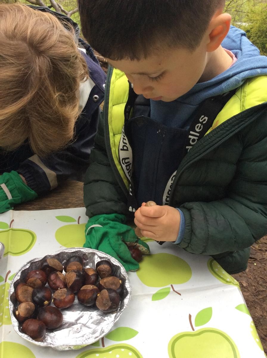 We used palm drills to make a hole in conkers.