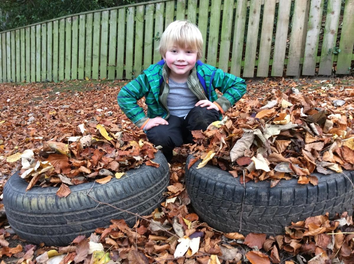 What a great collection of autumn leaves!