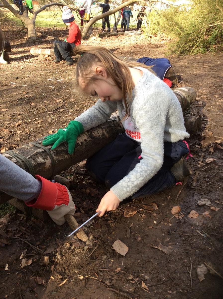 We used the hacksaw to cut some small lengths of chunky sticks.