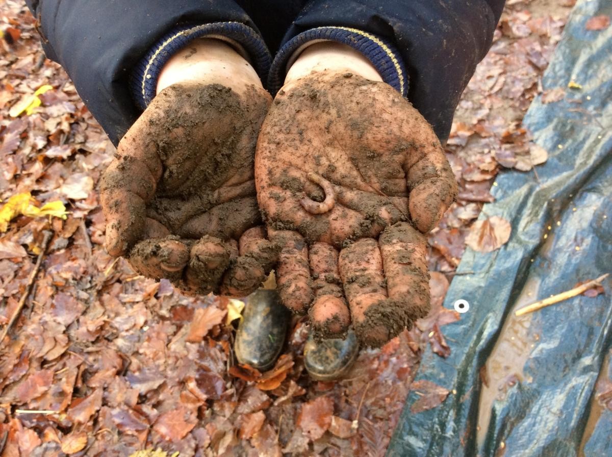 We found a worm!