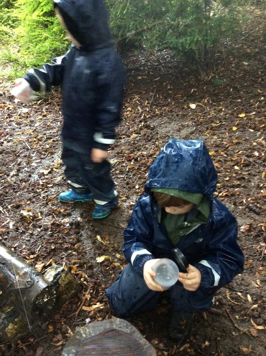 Then we went off to explore. Some of us went hunting for bugs.