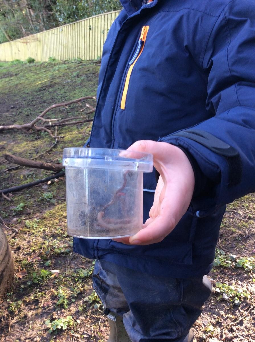 We love worms!