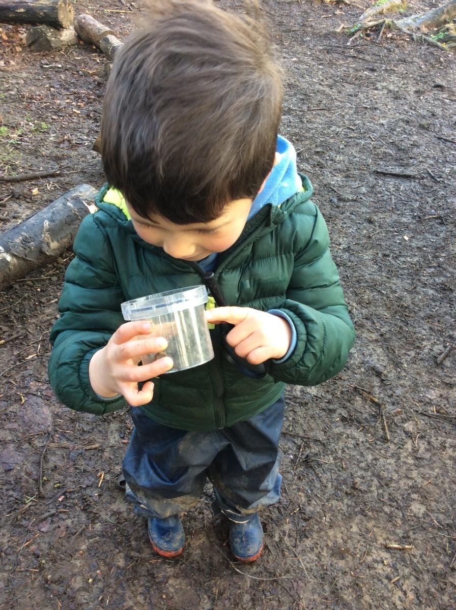 We found worms, woodlice, beetles, millipedes and an enormous spider!