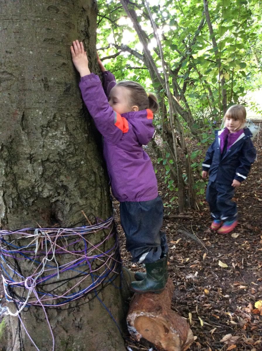 How far up the tree can you reach?
