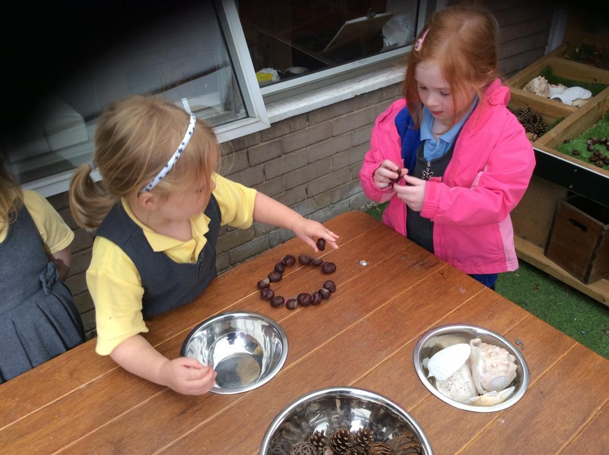 Sorting natural objects.