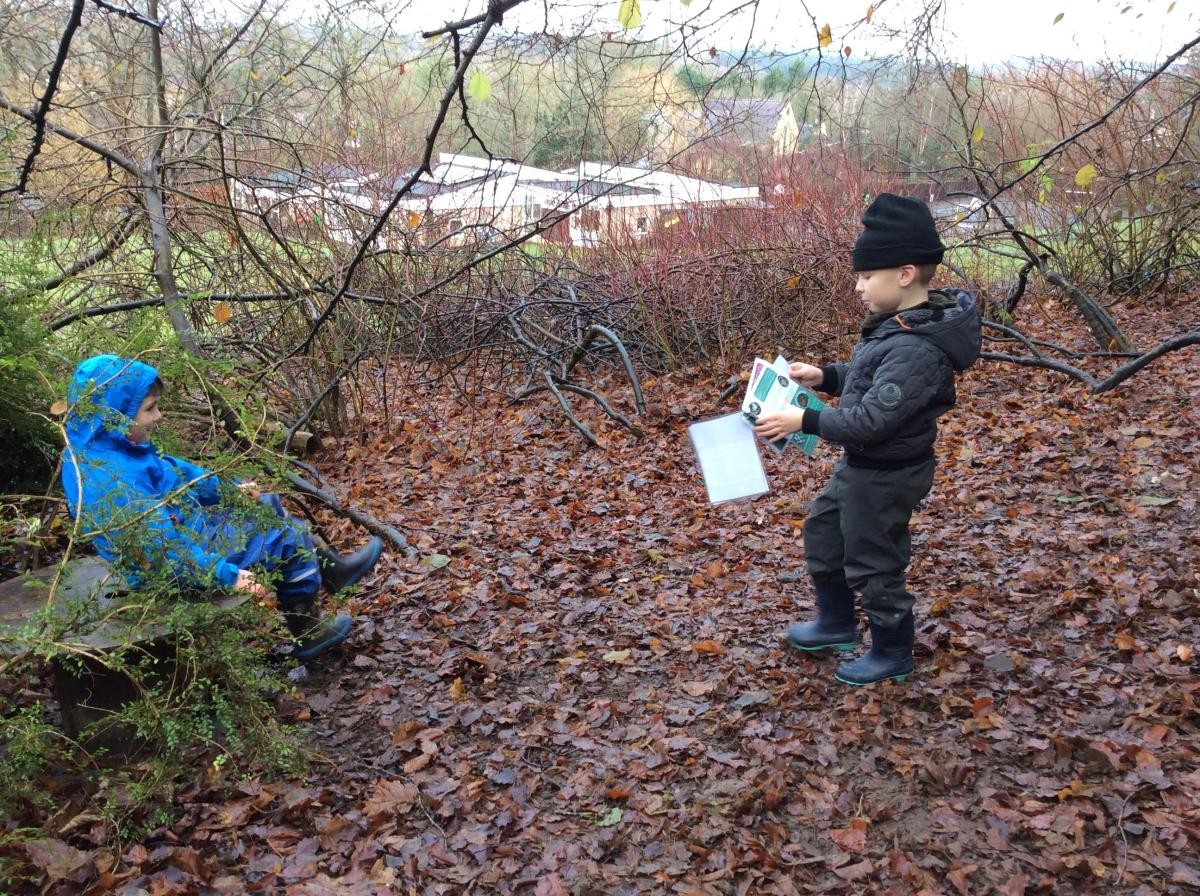 Using our songbird booklet to look for birds.
