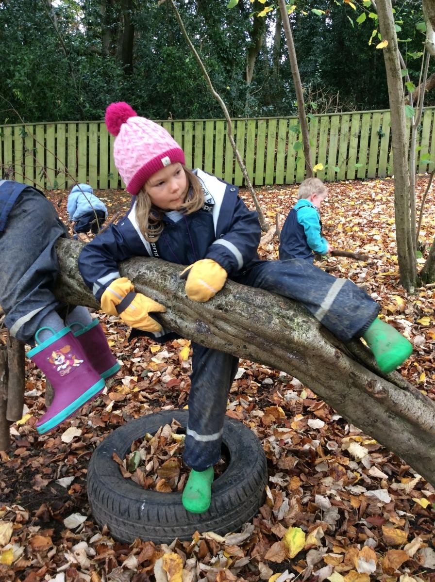 It was easier to reach the branch from the tyre.