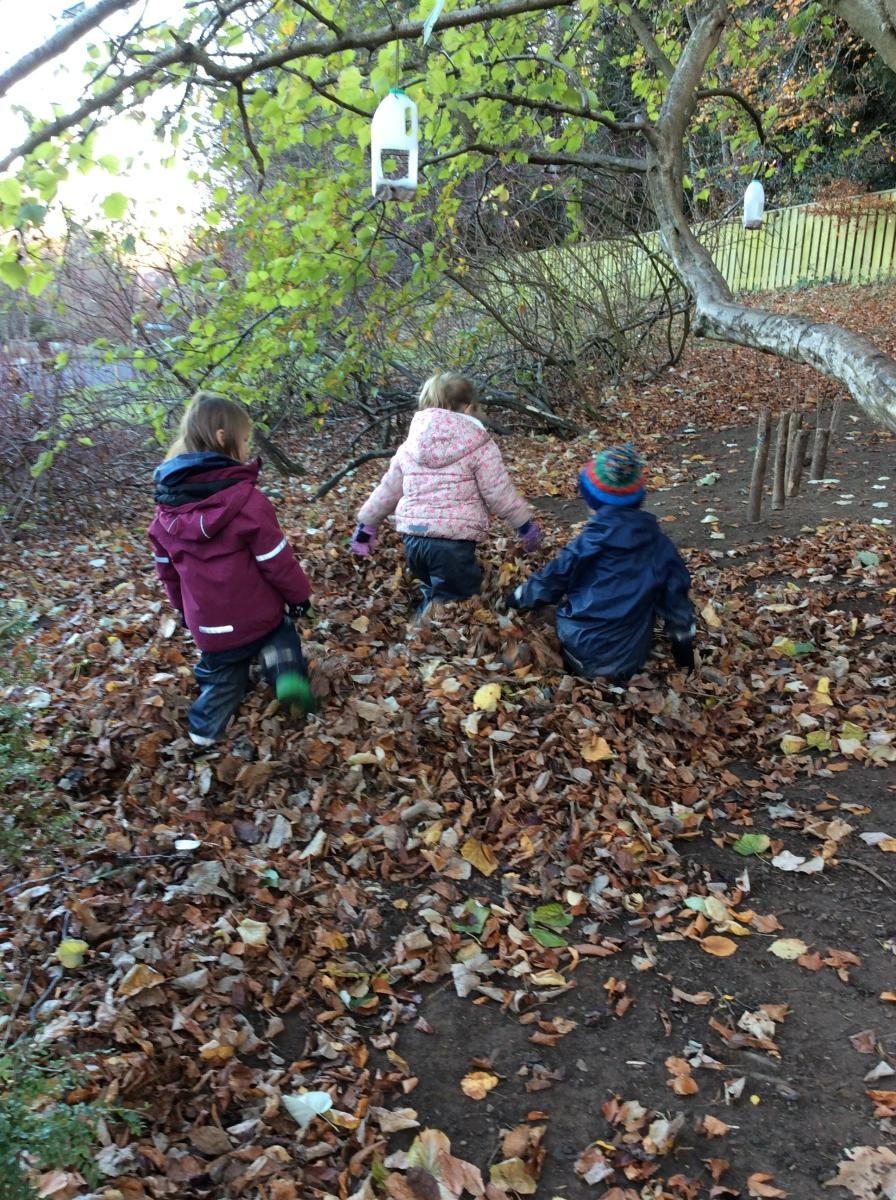 We jumped in a big leaf pile.