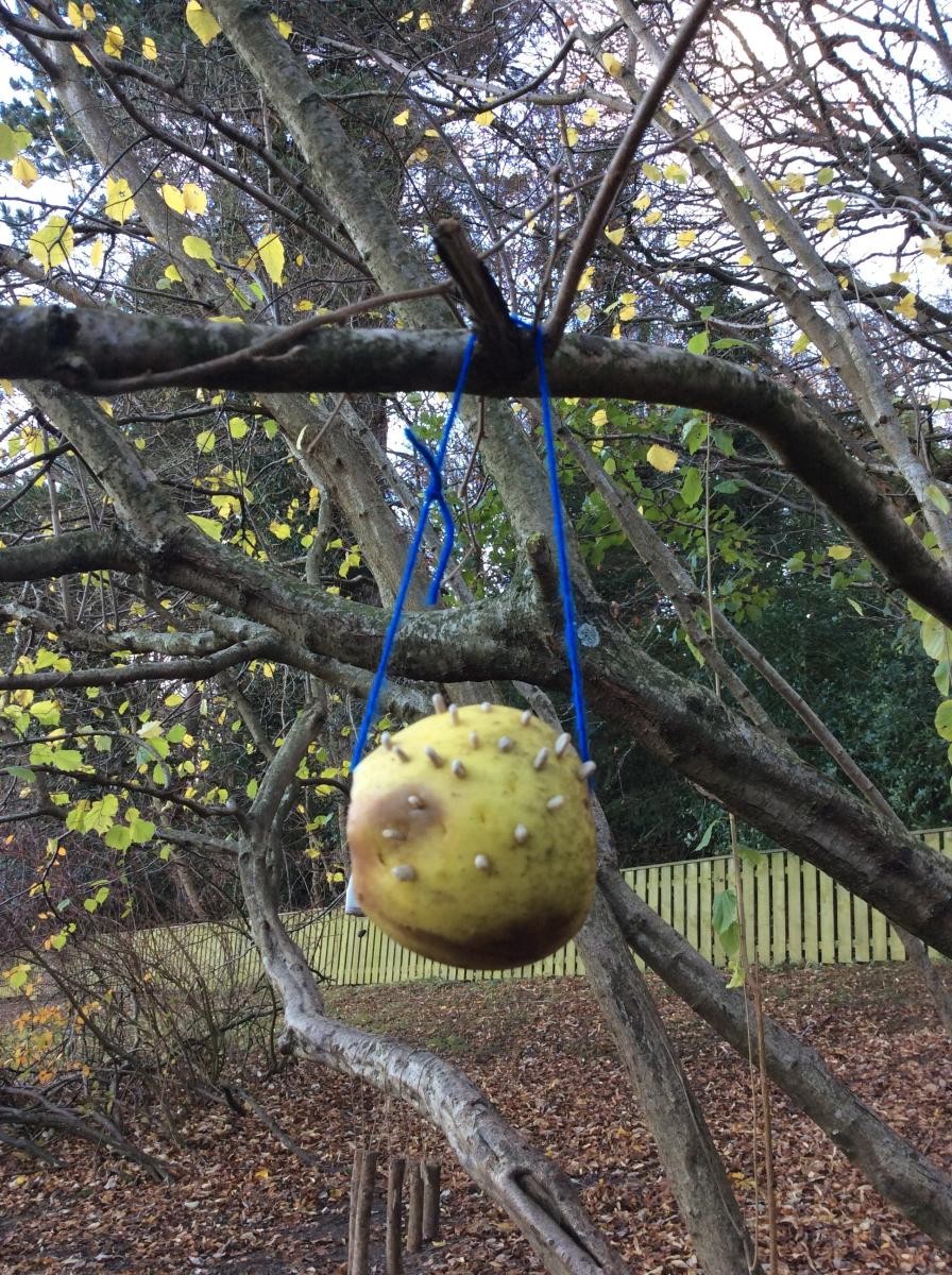 Our first challenge was to make fruit bird feeders.