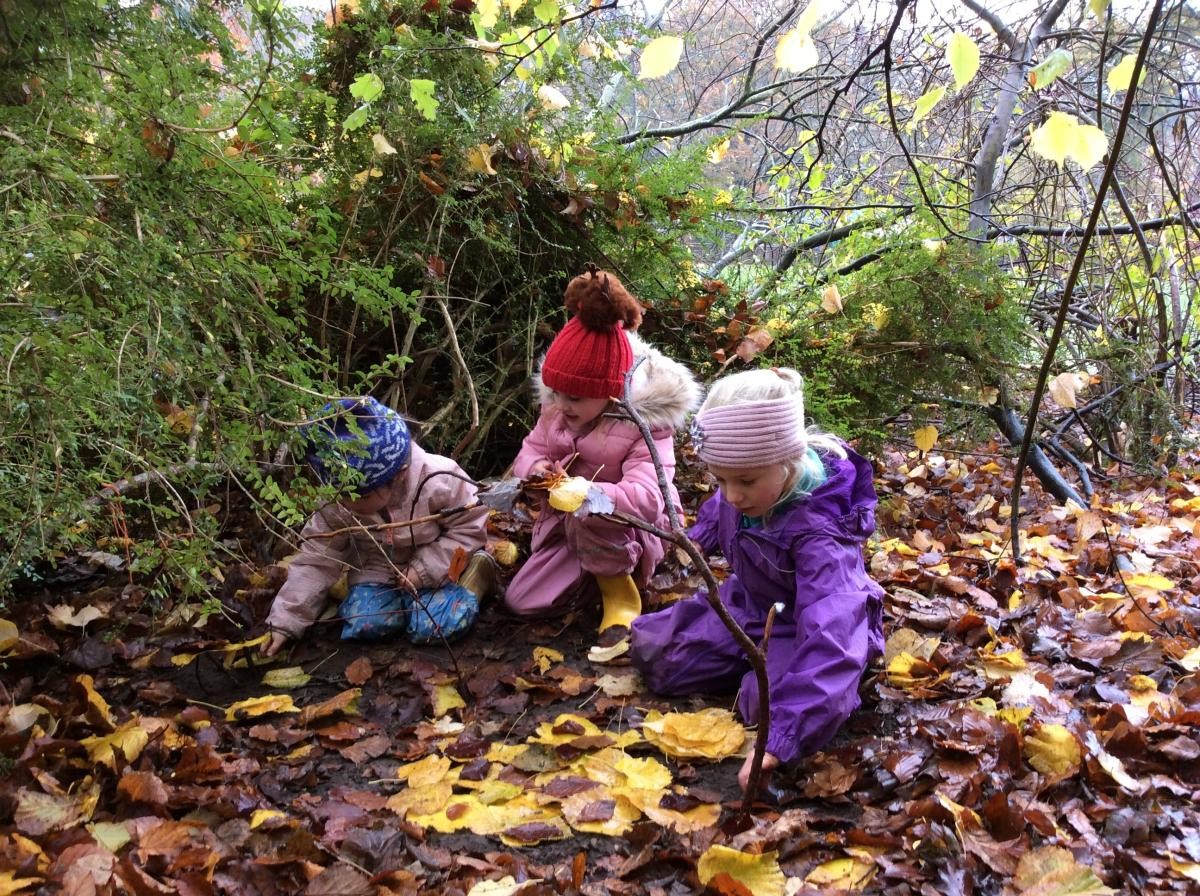Some of us made fairy houses and bug homes.