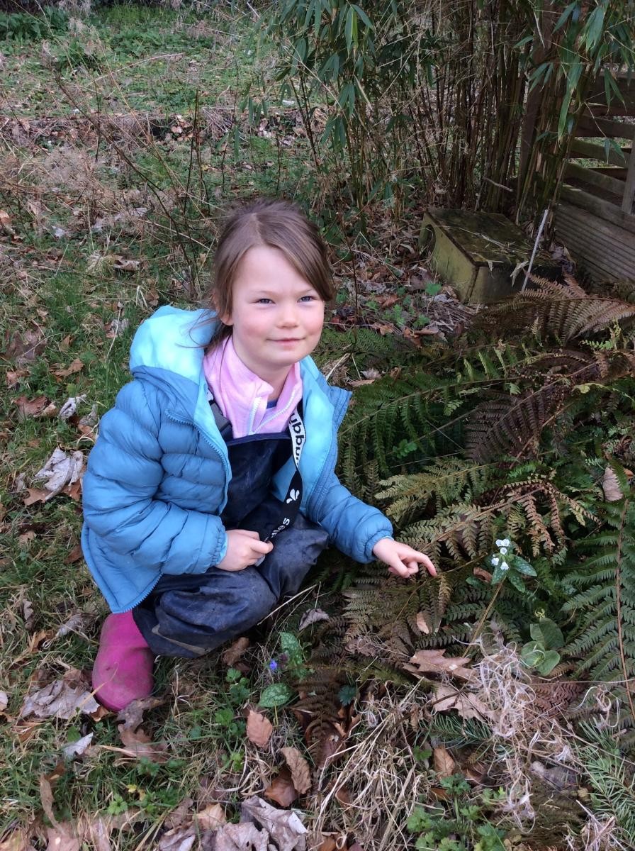 Week 11. After last week's Spring Equinox, Reception class went on a hunt around the school grounds for signs of Spring.