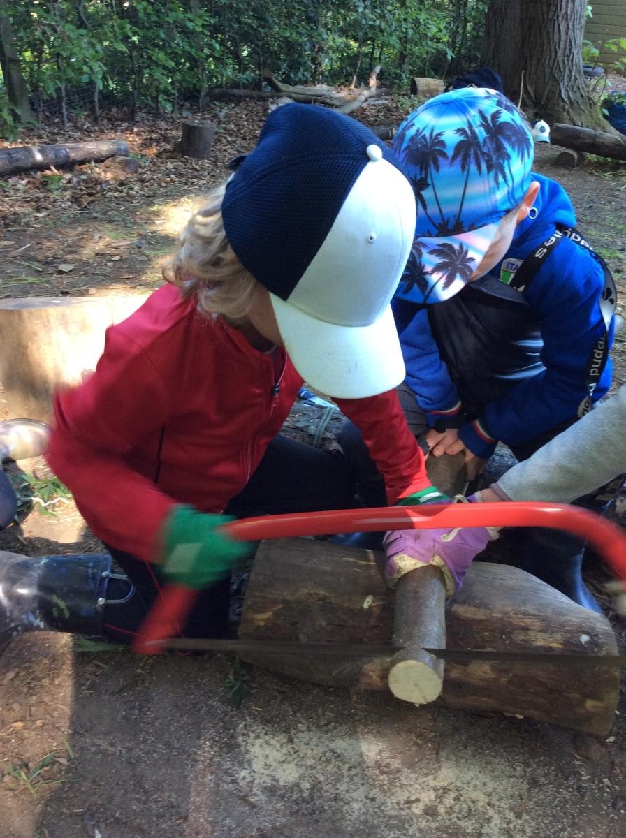 The children wanted to use the bow saw again to cut more wood cookies.