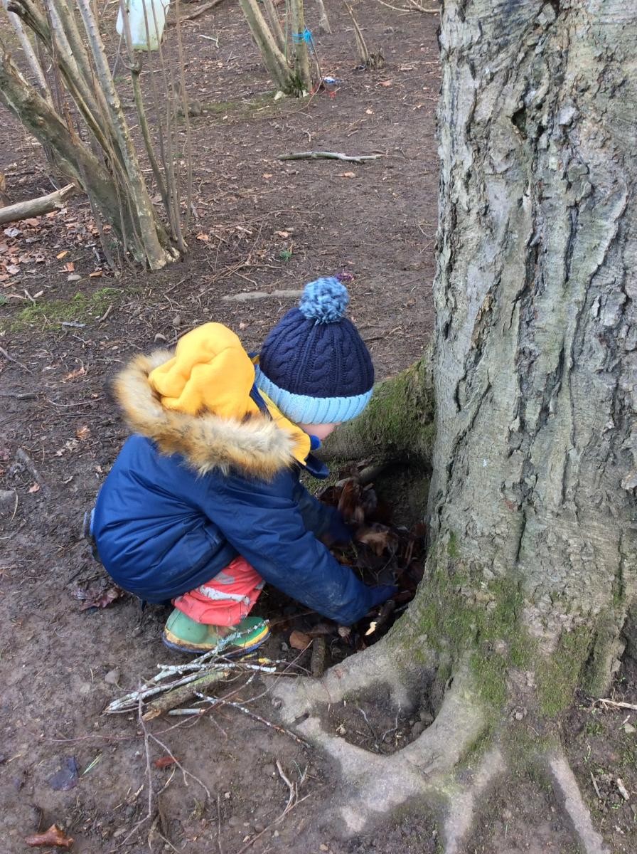 We used sticks and leaves to line our nests.