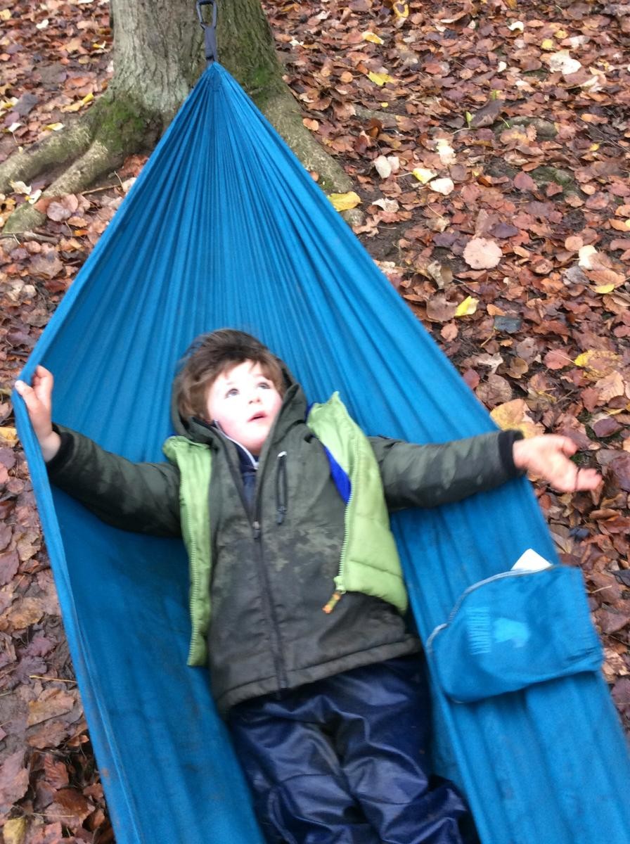 Without our trees in the woods, we wouldn't be able to put up the hammock. Thank you trees!