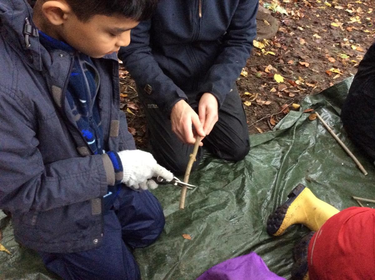 We cut short lengths of elder stick.