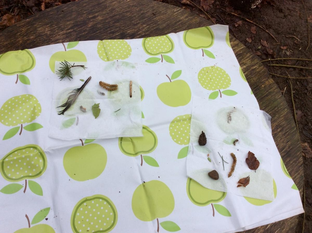 The children found such a variety of natural objects to put into their matchboxes.