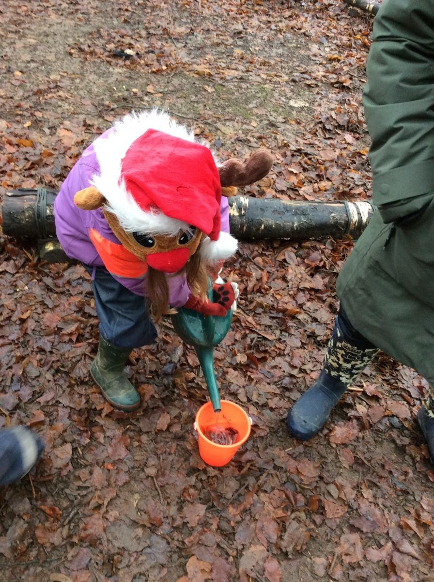 We added woodland ingredients and water.