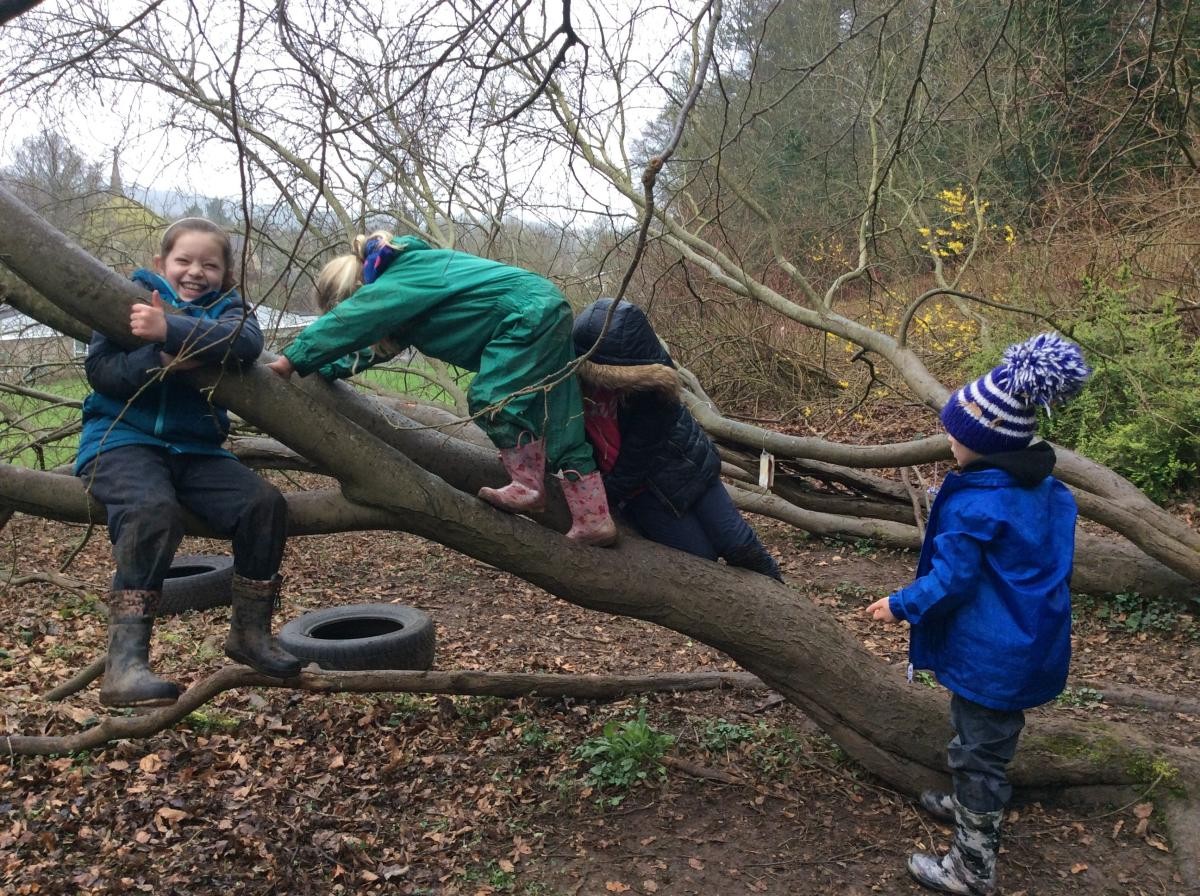 Climbing a tree