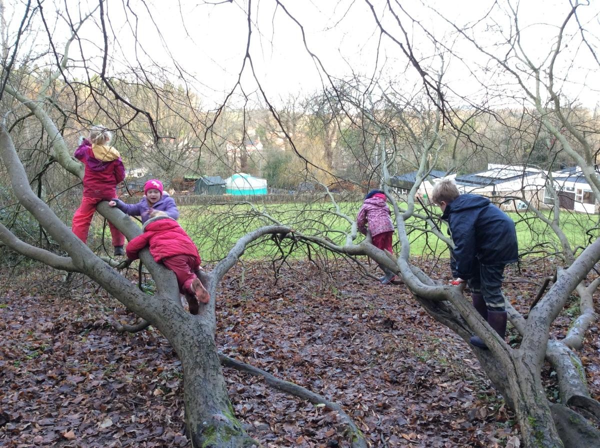 We still found time to climb trees...