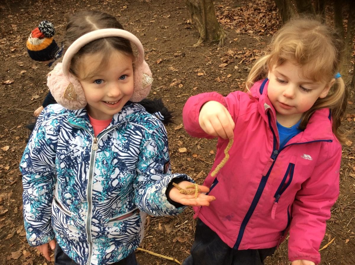 We think catkins look like caterpillars!