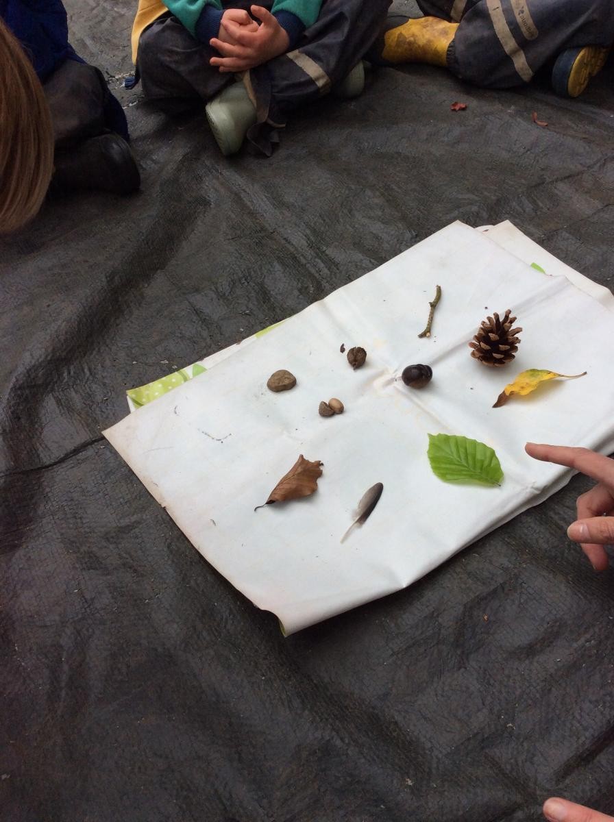 Week 2. Reception Class played Kim's Game. We had 10 natural objects that we had to remember.