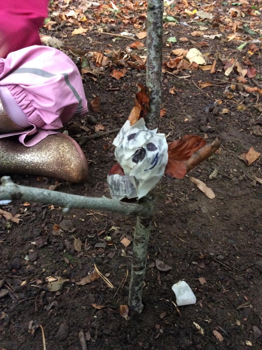 What a fantastic koala in a tree!