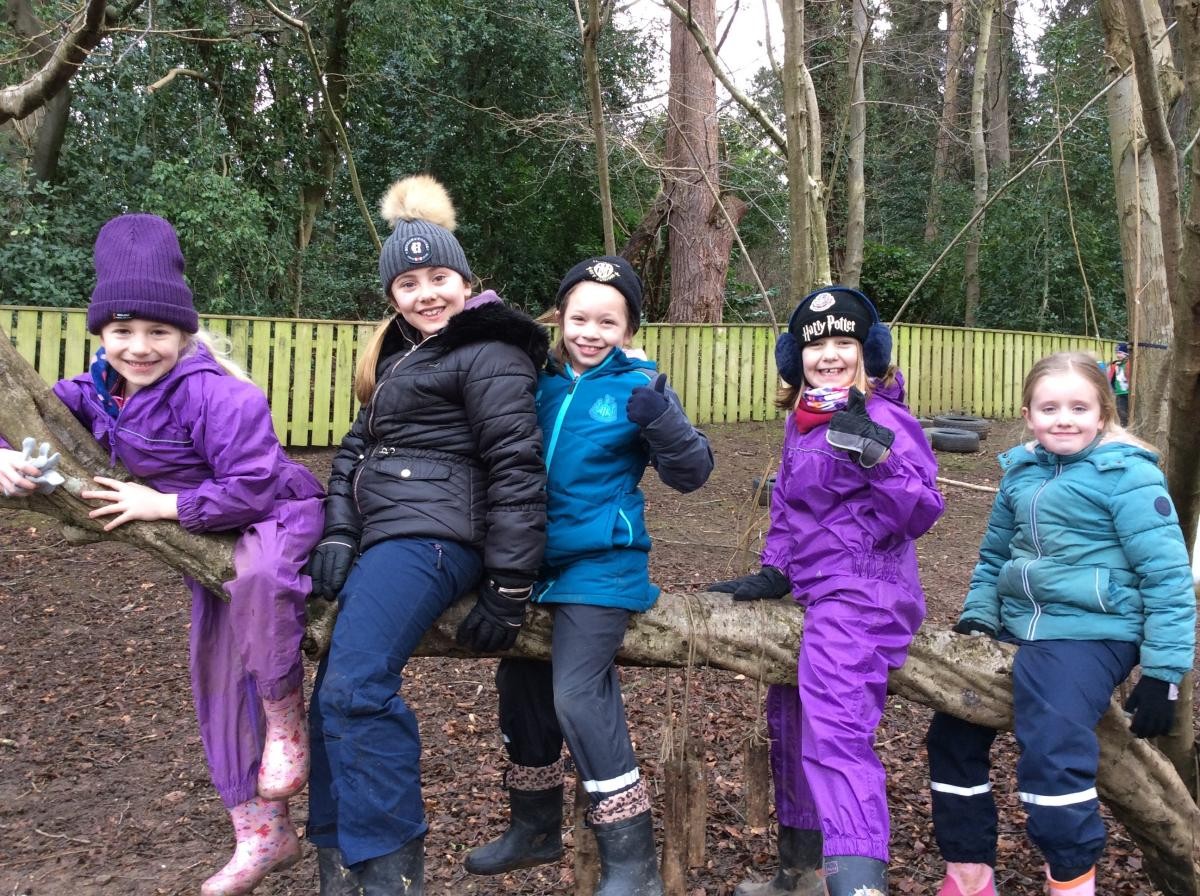 Pupils sitting on a branch