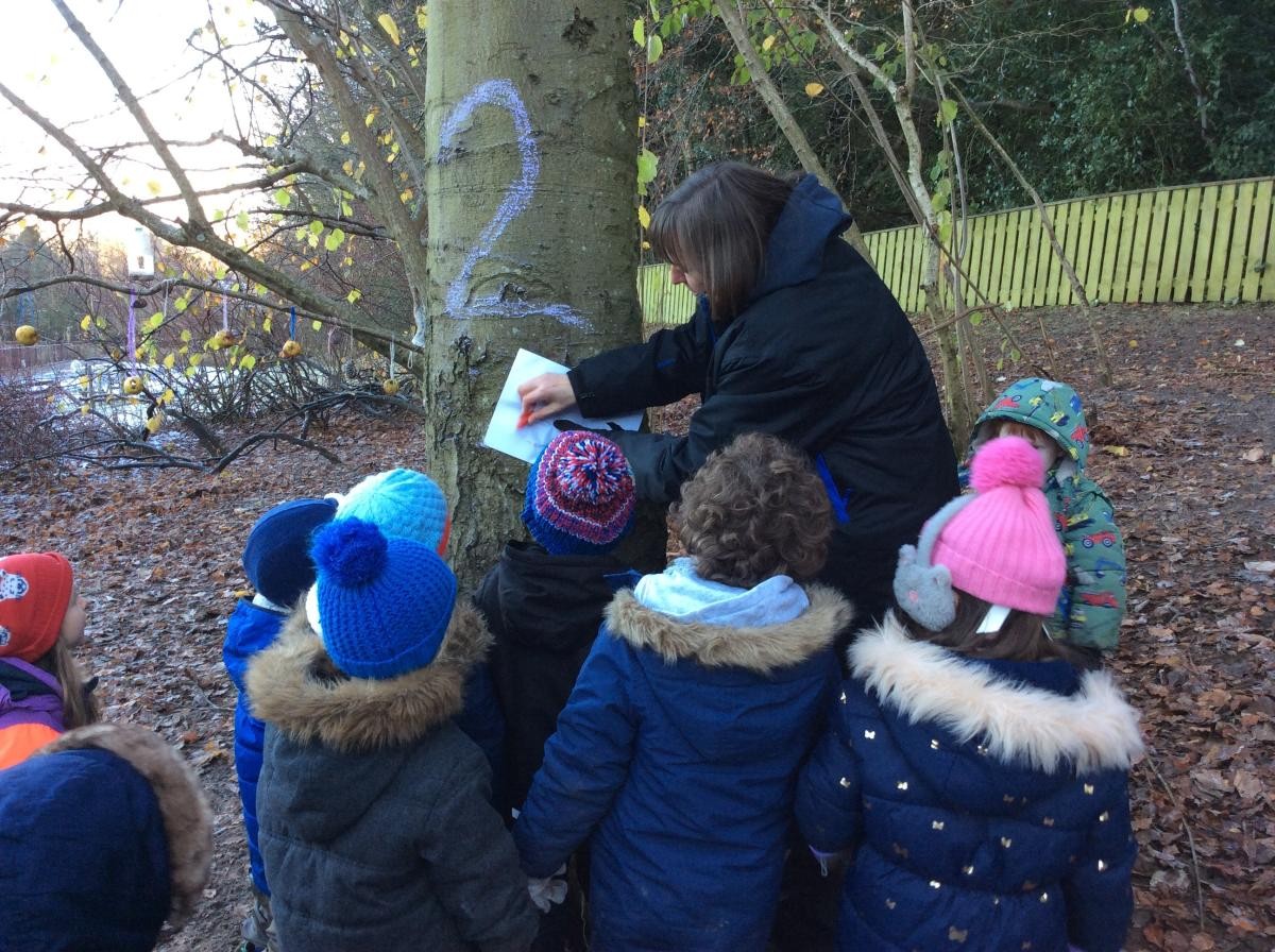 We made bark rubbings with wax crayons.