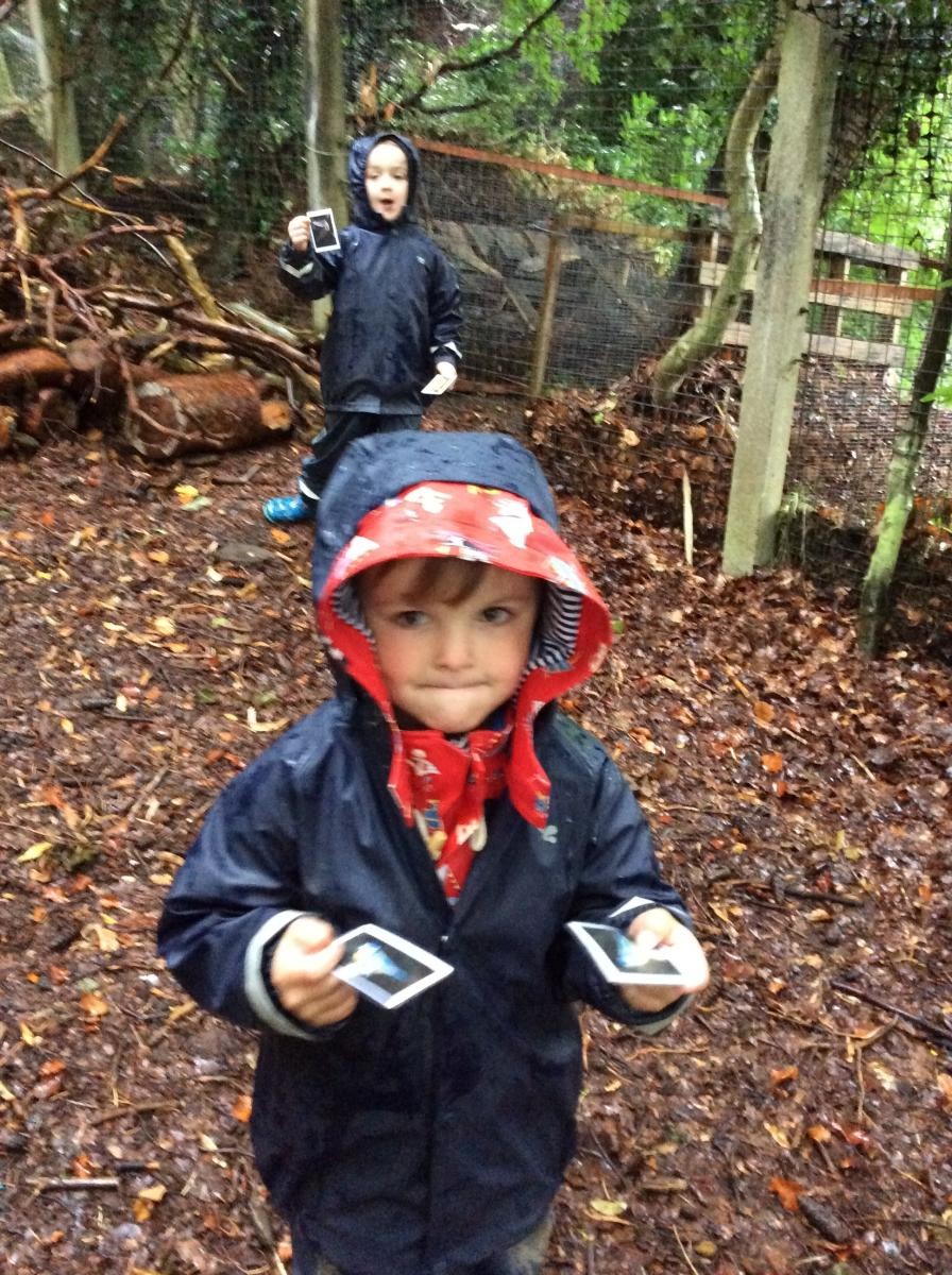 When we had found them all we sat on the logs and talked about the animals, birds and insects on our cards.
