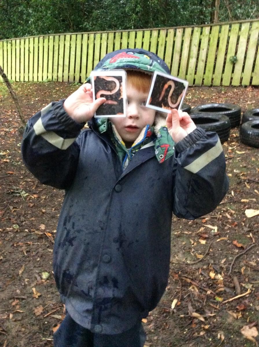 We played a wildlife matching game.