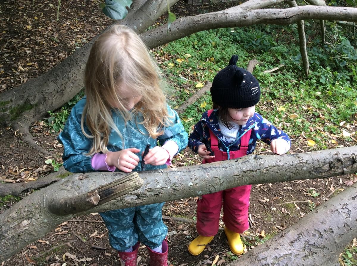 Some charcoal from old fires is good to draw on the trees with.