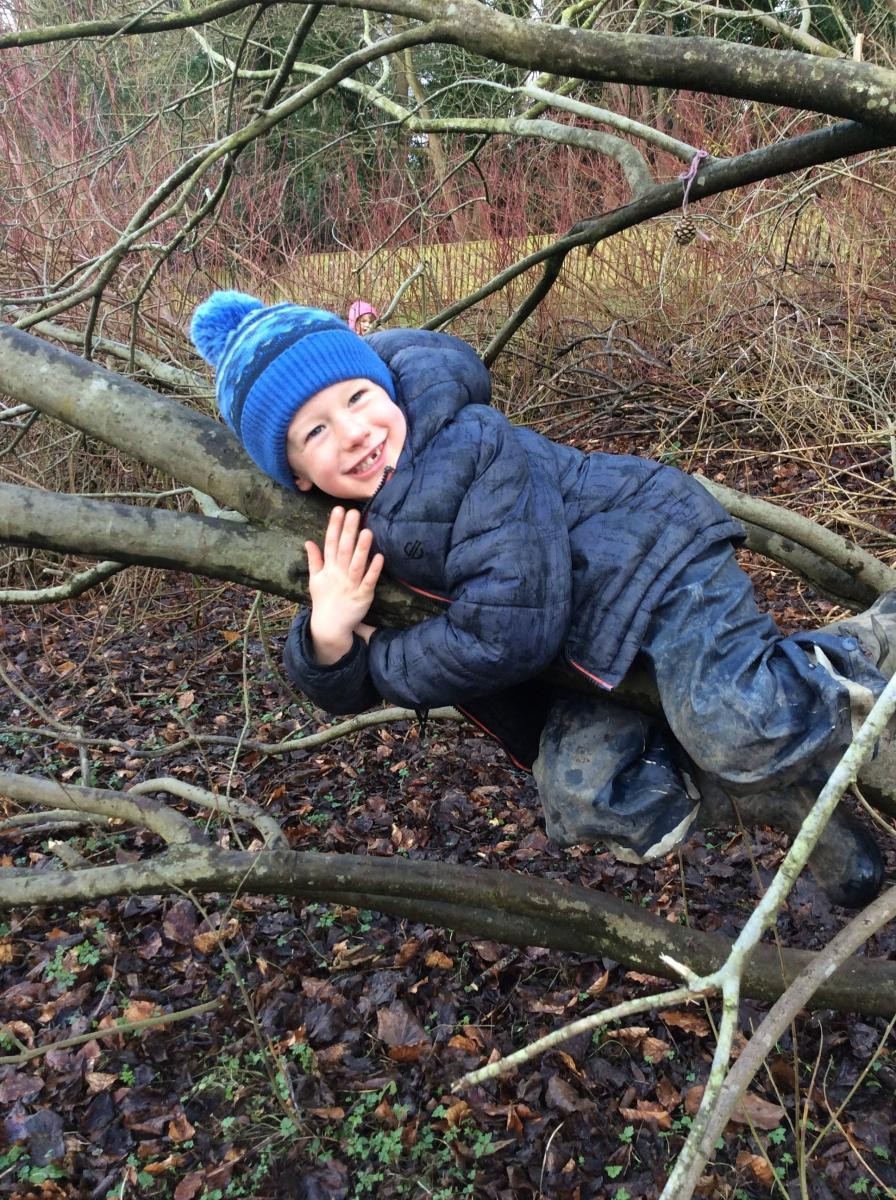 We love climbing trees!