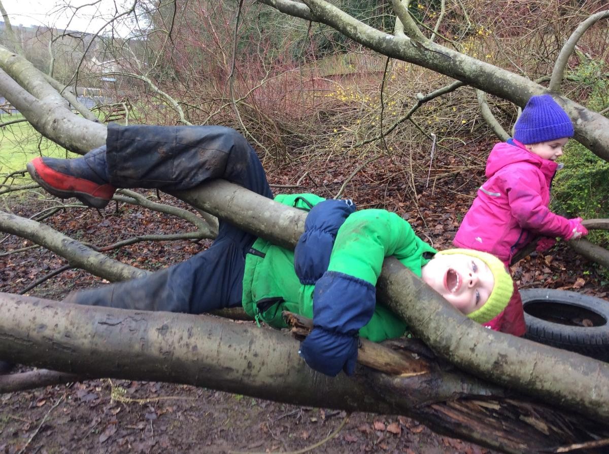 ...climbing trees...