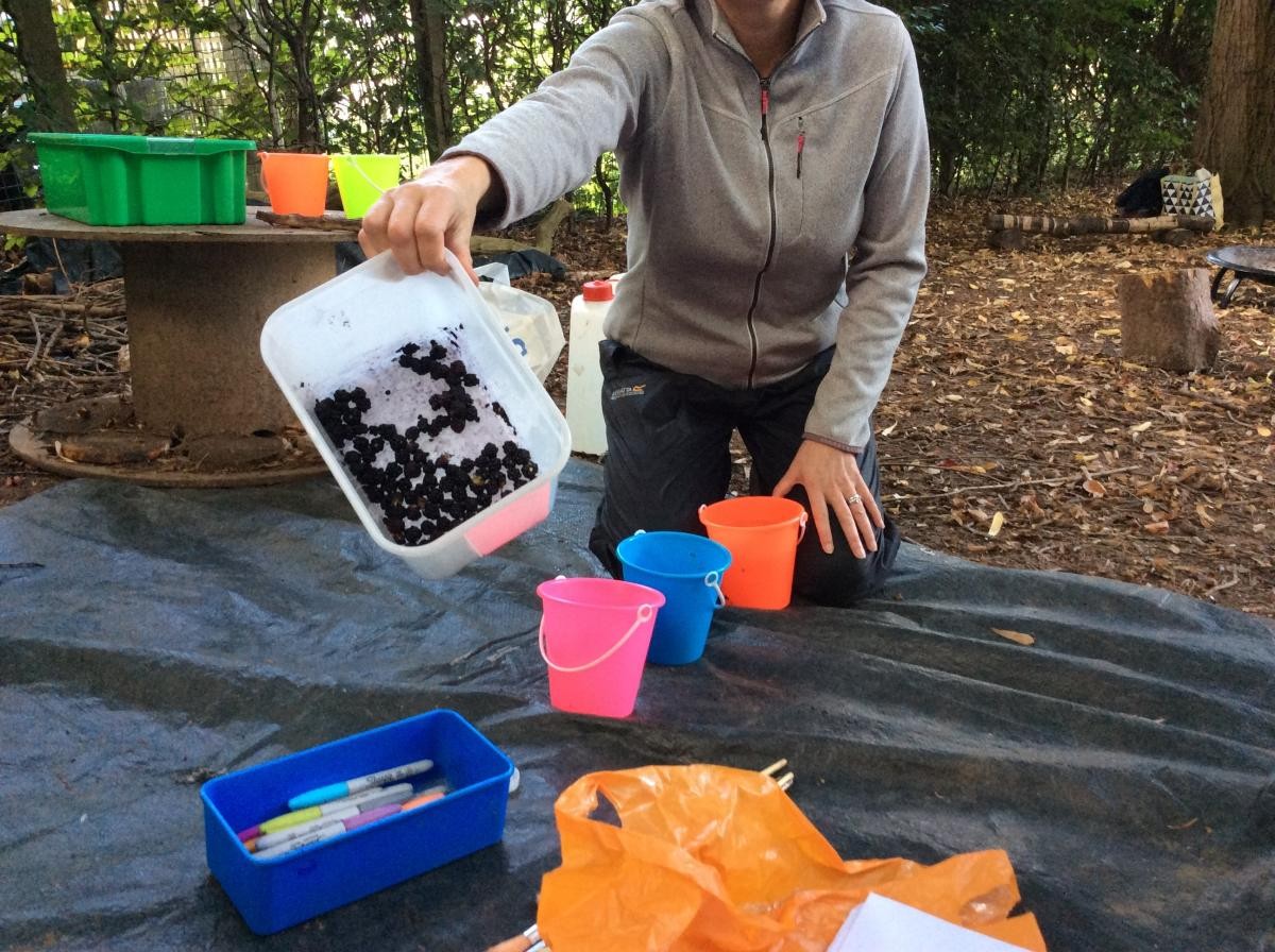 We picked some blackberries to do blackberry painting.