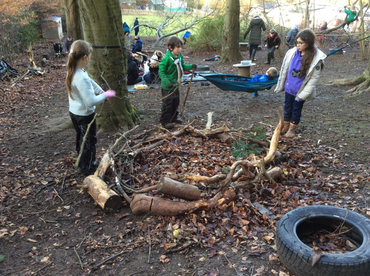 Working together in the woods