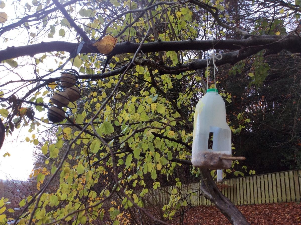 We also hung up some fat balls.