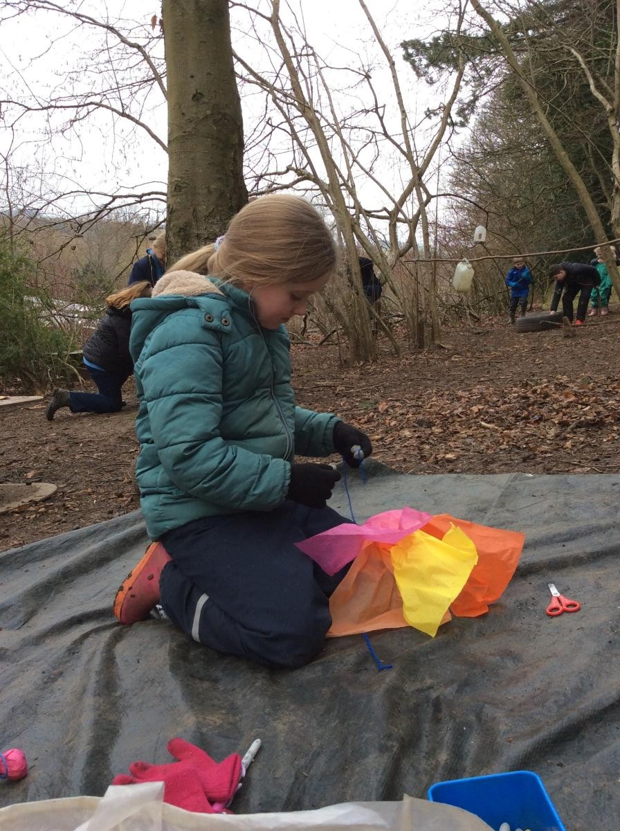 Forest fun.   