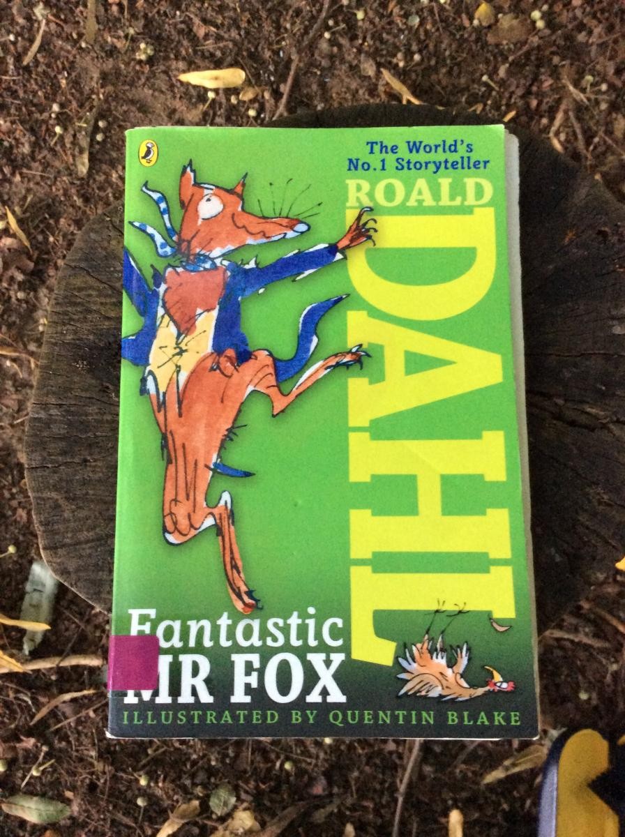 September 13th. To celebrate Roald Dahl Day, we read an excerpt from Fantastic Mr Fox. 