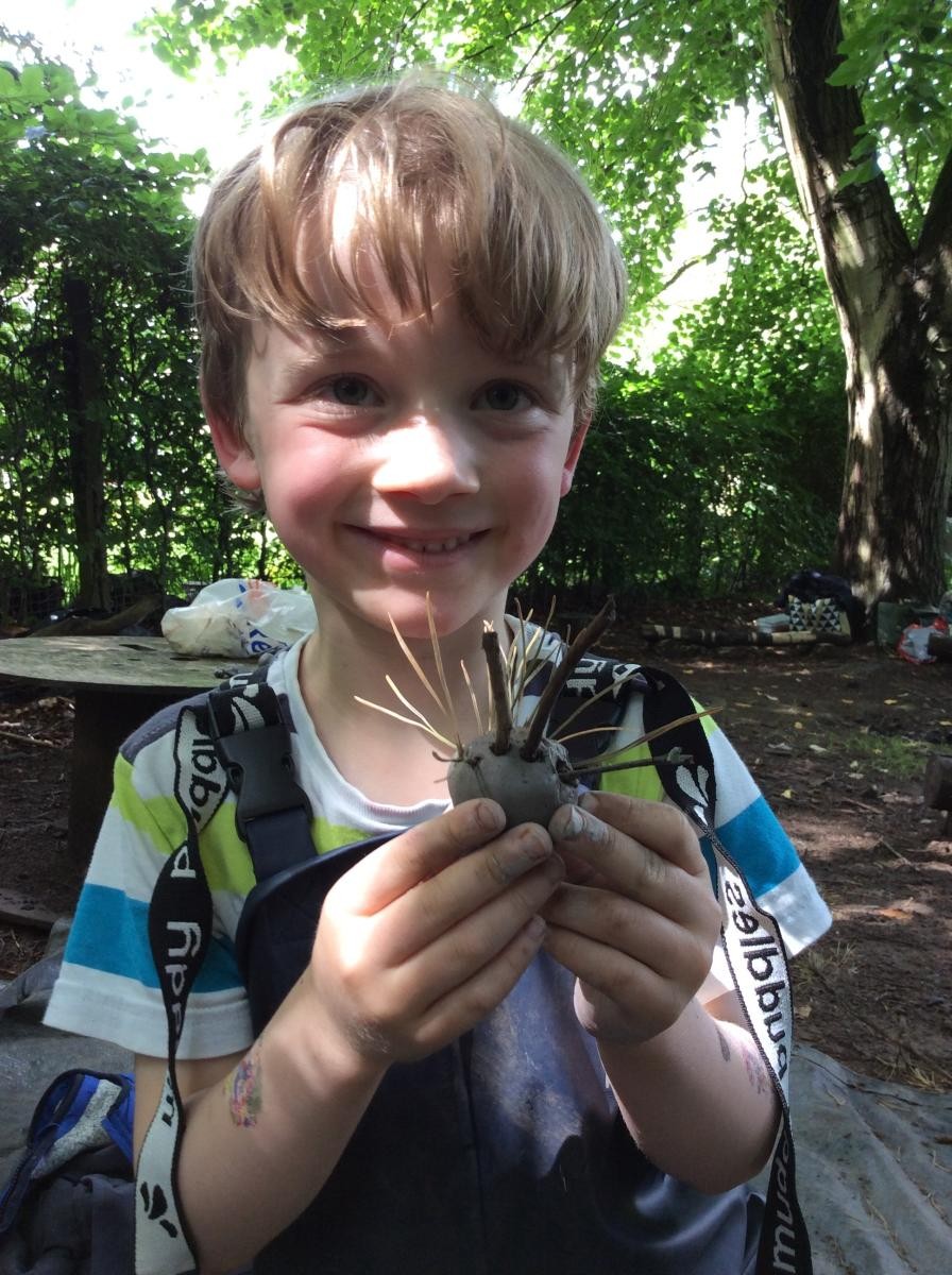 A very spiky newly invented creature!