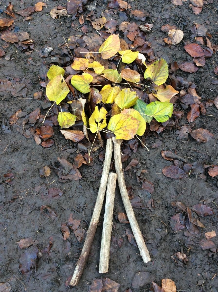 November 30th. We are celebrating National Tree Week in Forest School this week.