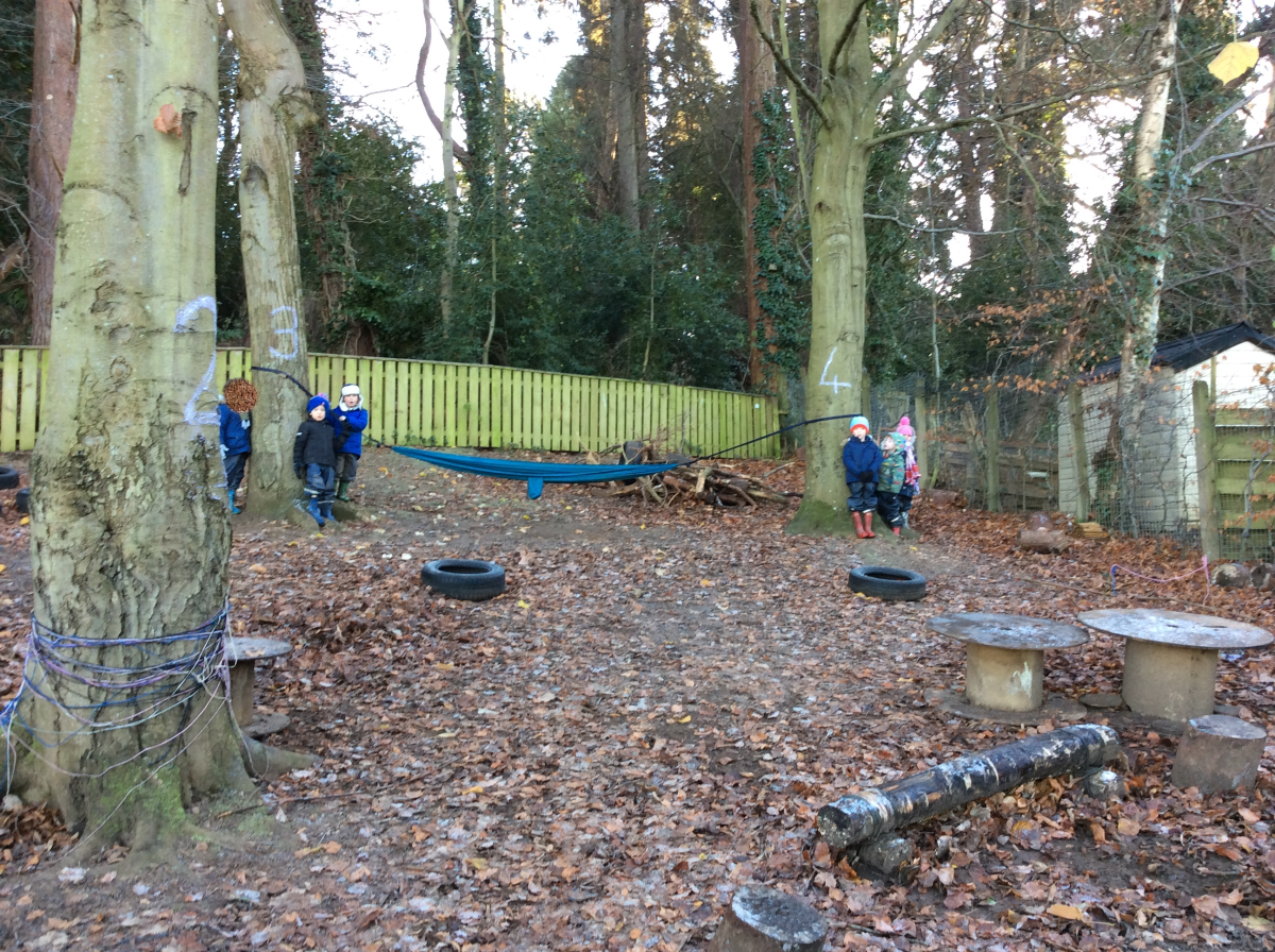 December 1st. To celebrate National Tree Week, Reception Class played the Tree Game.