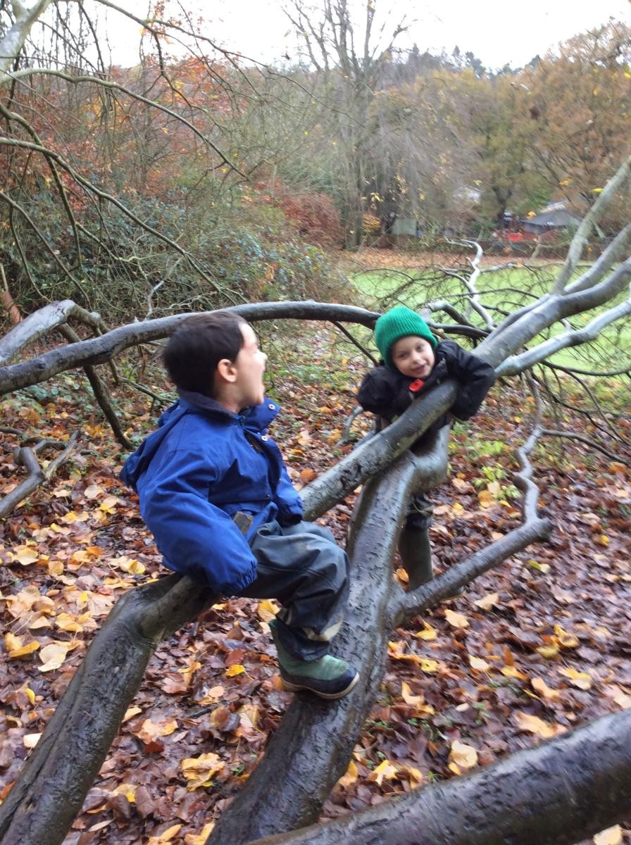 We had fun climbing trees.